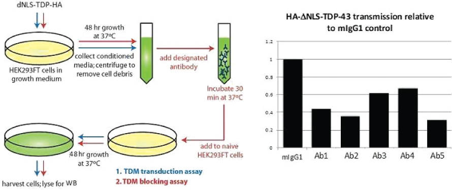 [MISSING IMAGE: tm2228844d1-bc_10fig4clr.jpg]