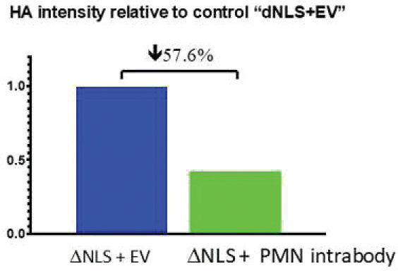 [MISSING IMAGE: tm2228844d1-bc_12fig4clr.jpg]