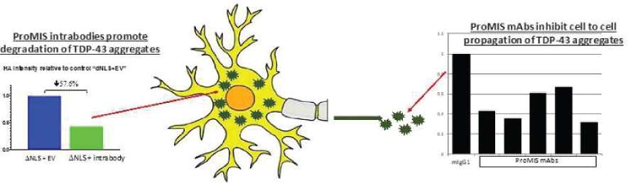 [MISSING IMAGE: tm2228844d1-bc_13fig4clr.jpg]