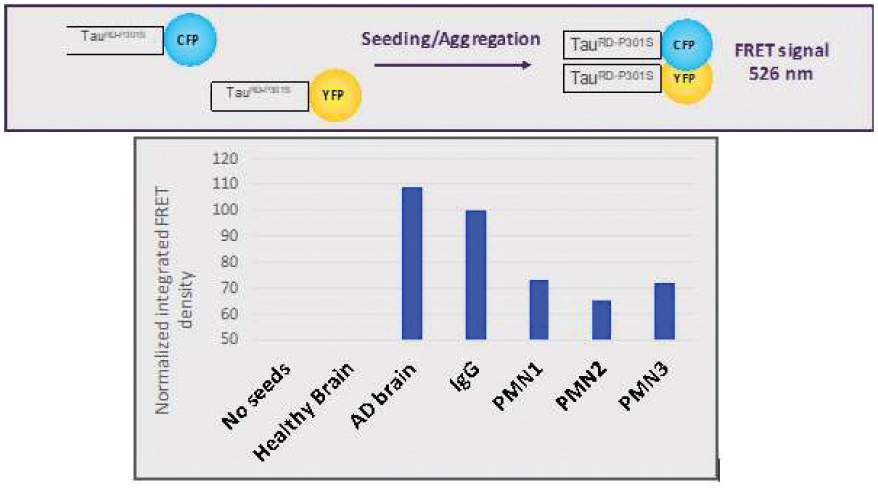 [MISSING IMAGE: tm2228844d1-bc_15fig4clr.jpg]