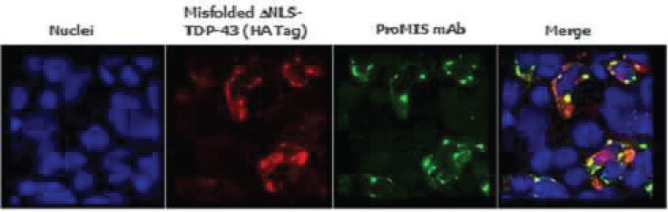 [MISSING IMAGE: tm2228844d1-ph_09fig4clr.jpg]