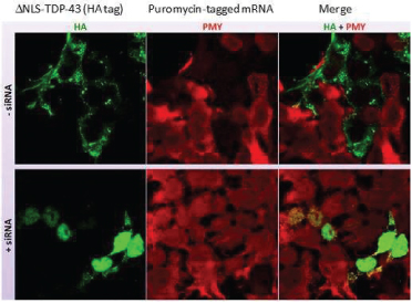 [MISSING IMAGE: tm2228844d1-ph_17fig4clr.jpg]