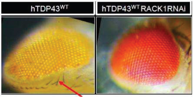 [MISSING IMAGE: tm2228844d1-ph_18fig4clr.jpg]