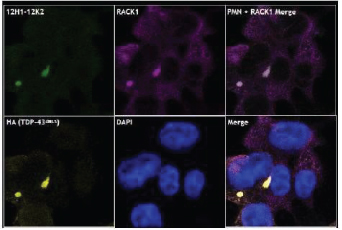 [MISSING IMAGE: tm2228844d1-ph_19fig4clr.jpg]